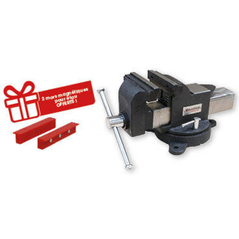 Etau acier 125mm avec enclume/serre tubes/base pivotante à 360° DRAKKAR - 15994