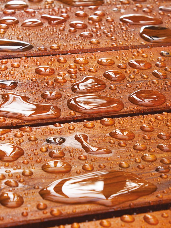 HYDROBOIS Hydrofuge Prêt à l'Emploi - Bidon 5L - DALEP - 1.03.0035.03