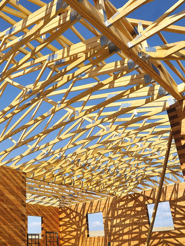 D'XYL Traitement Bois Tous Usages - Cuve 1000L - DALEP - 1.03.0033.09