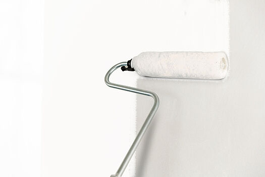 Wagner Inner Feed Roller - WAGNER - 2418370