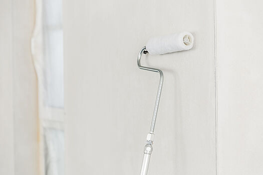 Wagner Inner Feed Roller - WAGNER - 2418370