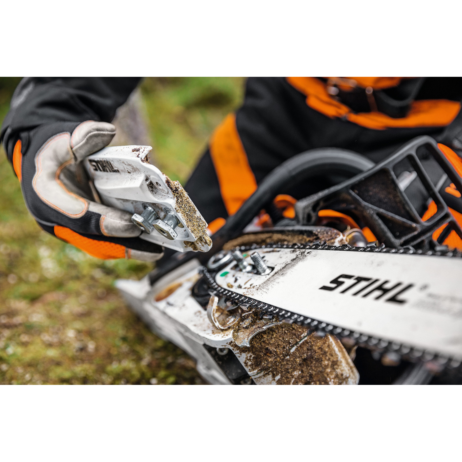 Tronçonneuse MS 261 STIHL - 11412000657