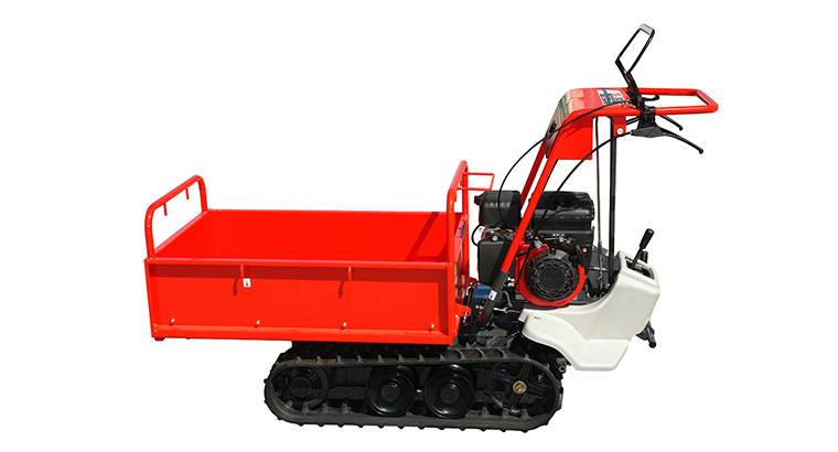 Mini-transporteur à essence BP31 - Charge utile 300 kg - IMER - 080100305