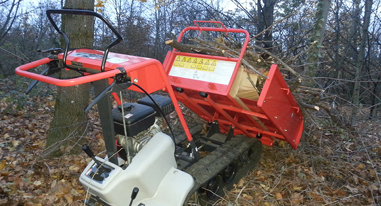 Mini-transporteur à essence BP31 - Charge utile 300 kg - IMER - 080100305