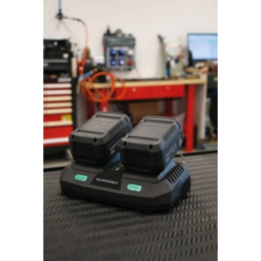 CHARGEUR DOUBLE - SCHNEIDER ELECTRO - 50906