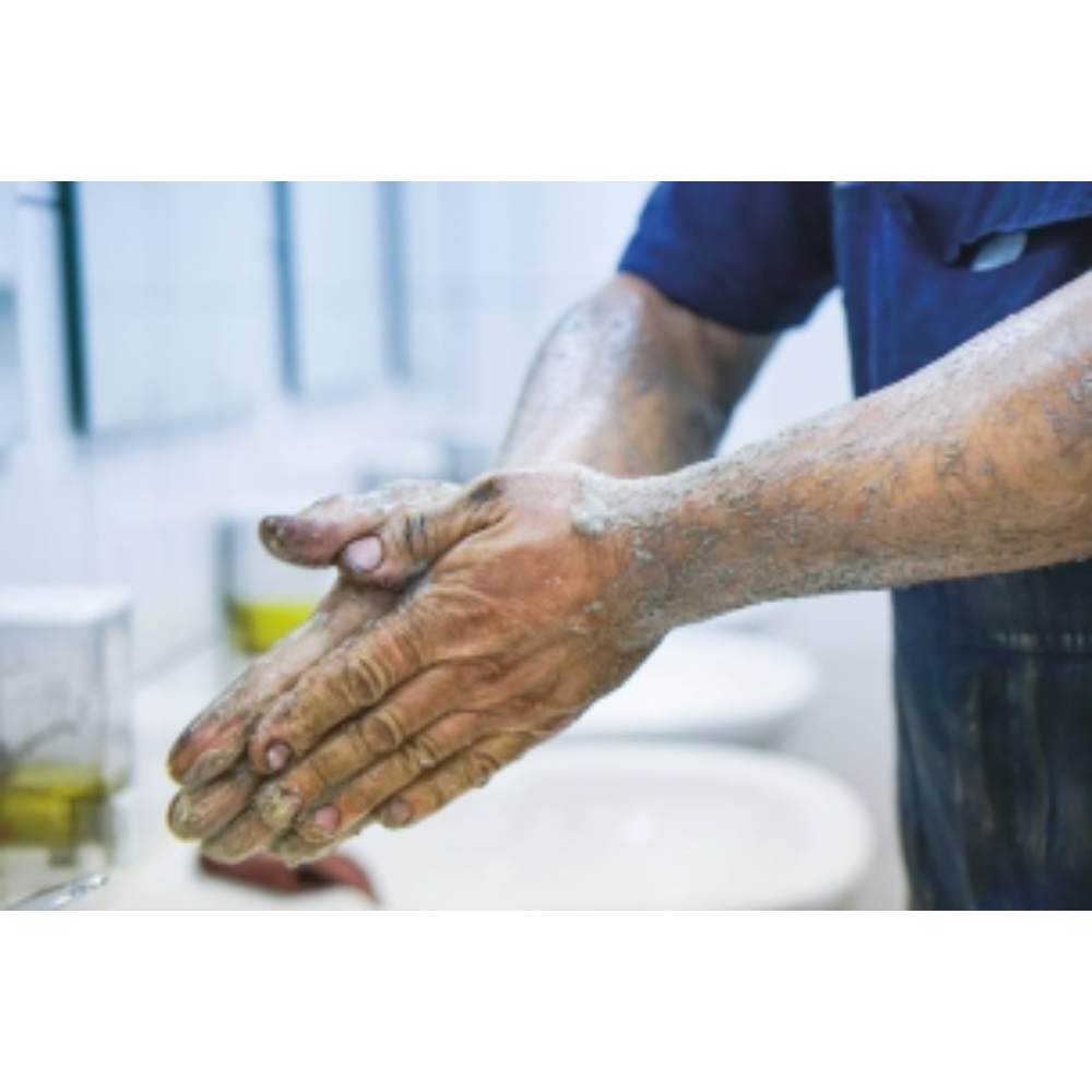 SAVON POUDRE KARZHAN VERT 30L - KARZHAN - 58132