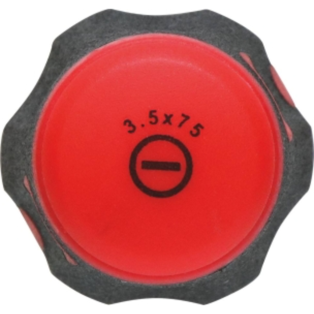 TOURNEVIS PLAT MECANICIEN - LAME DROITE 2,5*50 - DRAKKAR TOOLS - 69076