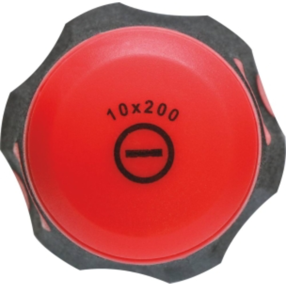 TOURNEVIS PLAT AVEC ECROU 10*200 - DRAKKAR TOOLS - 69138