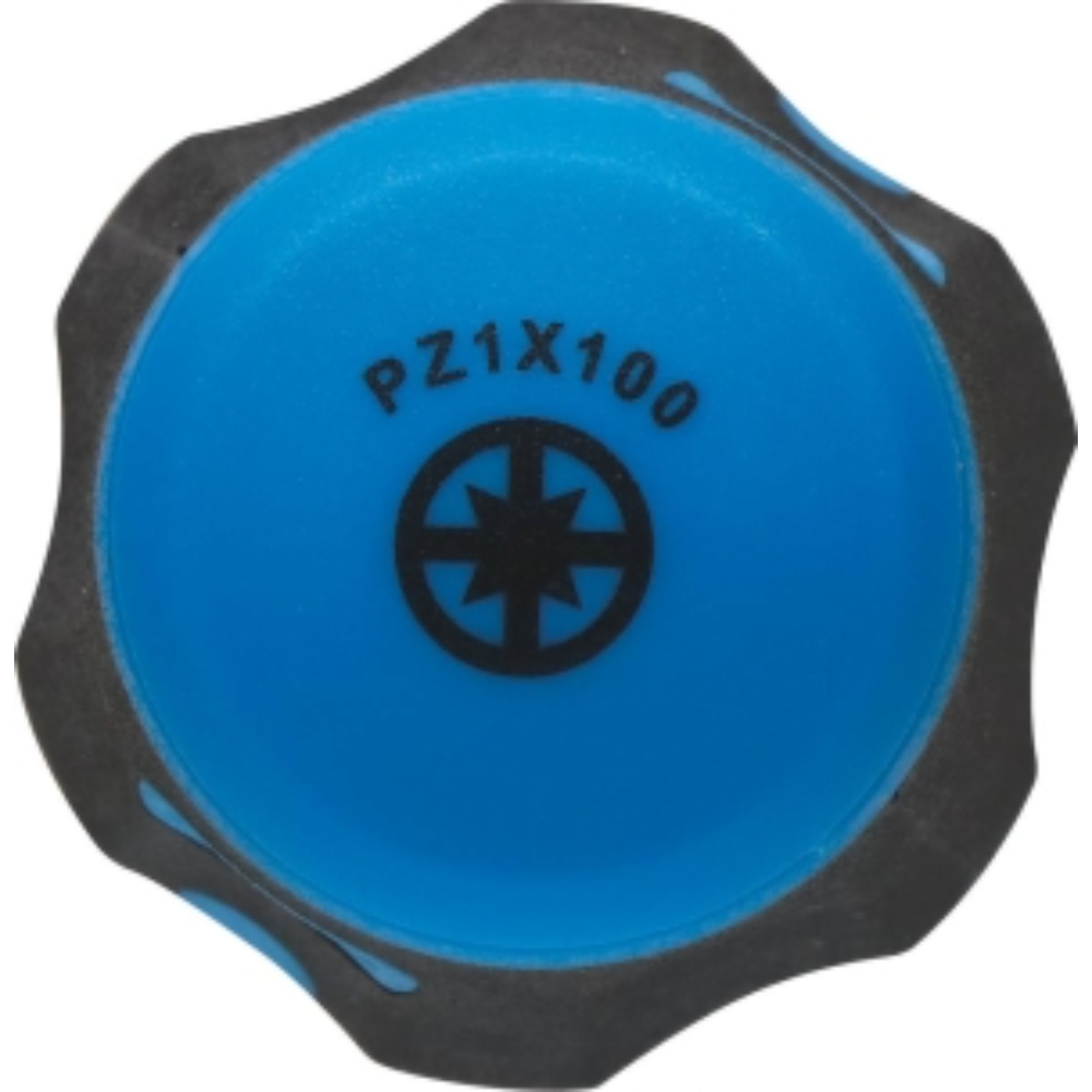 TOURNEVIS POZIDRIV PZ1*100 S - DRAKKAR TOOLS - 69380