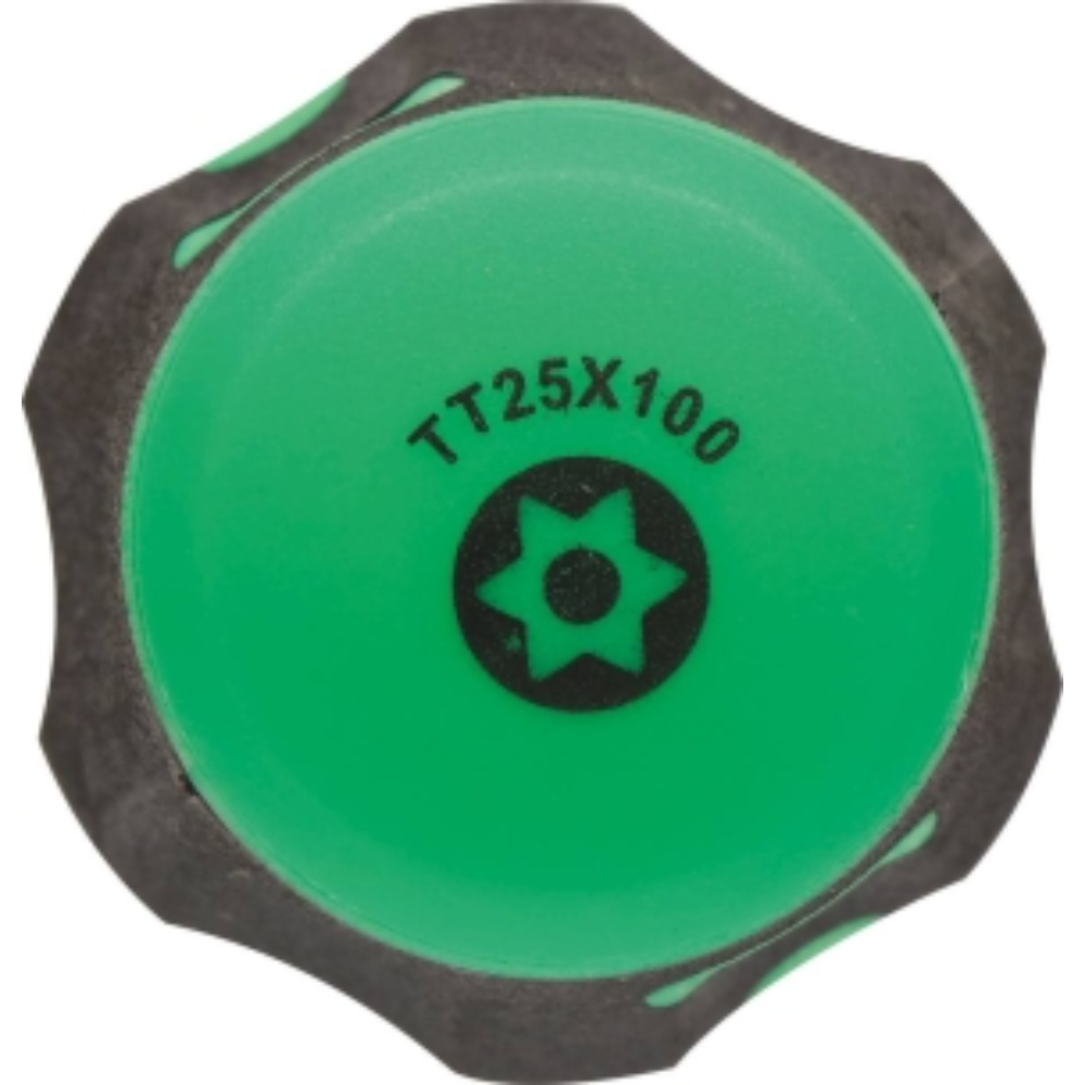TOURNEVIS TORX TROUE T25*100 S - DRAKKAR TOOLS - 69536