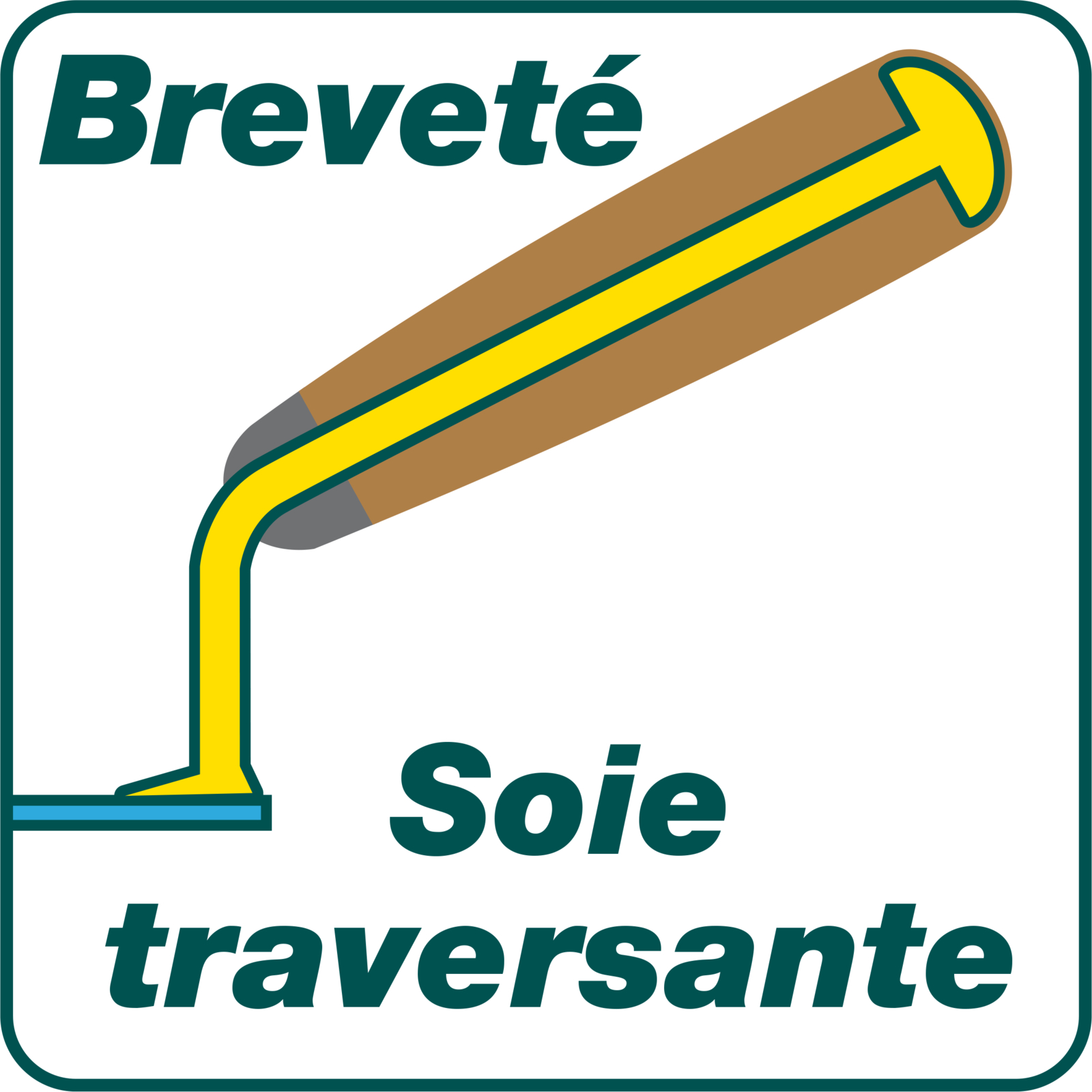 Truelle langue de chat Batipro 14 cm manche bois certifié FSC 100 % LEBORGNE - 193140