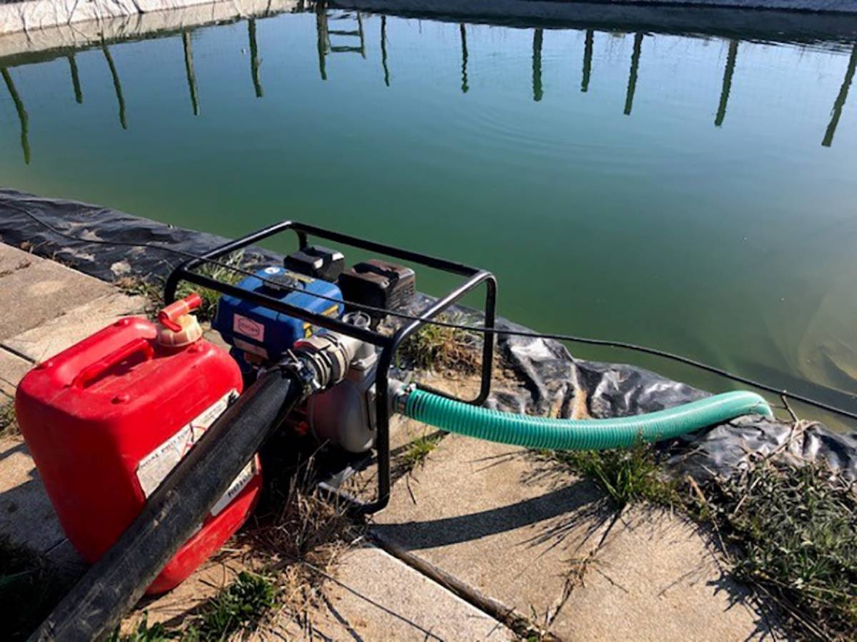 MOTOPOMPE EAUX CLAIRES 30M3/H MAXI - RENSON - 980006