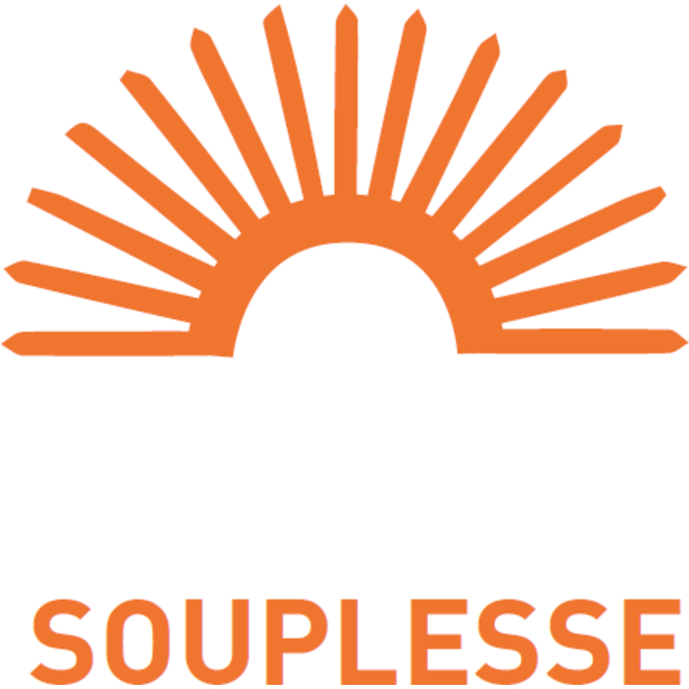 8 rouleaux de 40m TRAMICHAPE DUO 1500x4,5mm sans bande adhésive TRAMICO - 2990410000