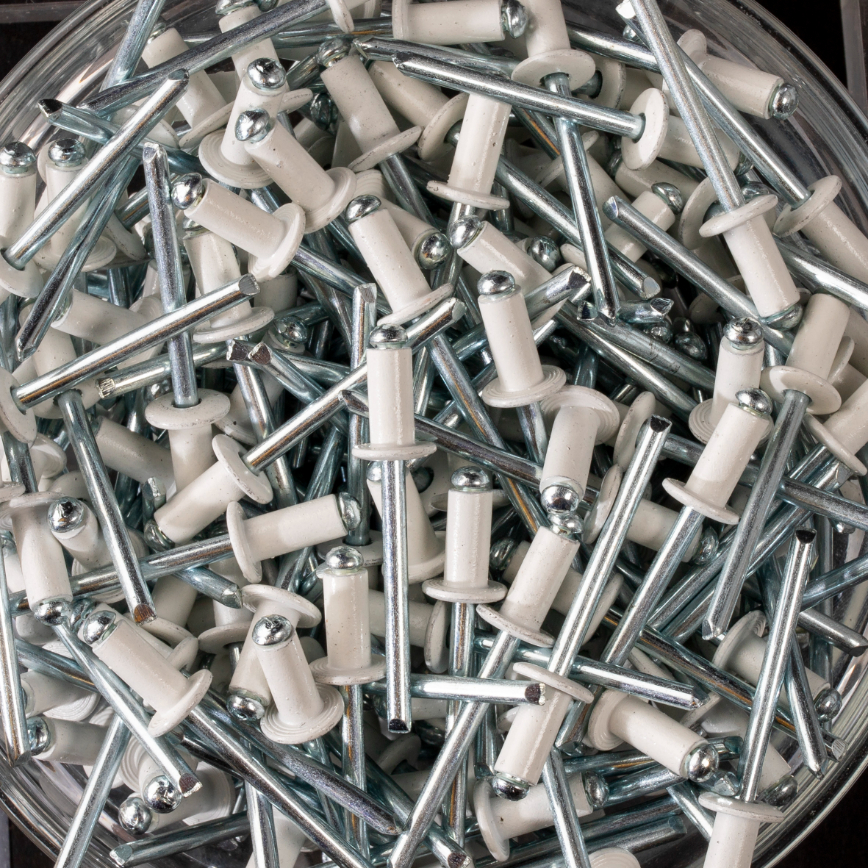 250 rivets standards à aluminium/acier à tête plate à RAL9003 à Ø4,8x10mm - SCELL-IT - AWD4810