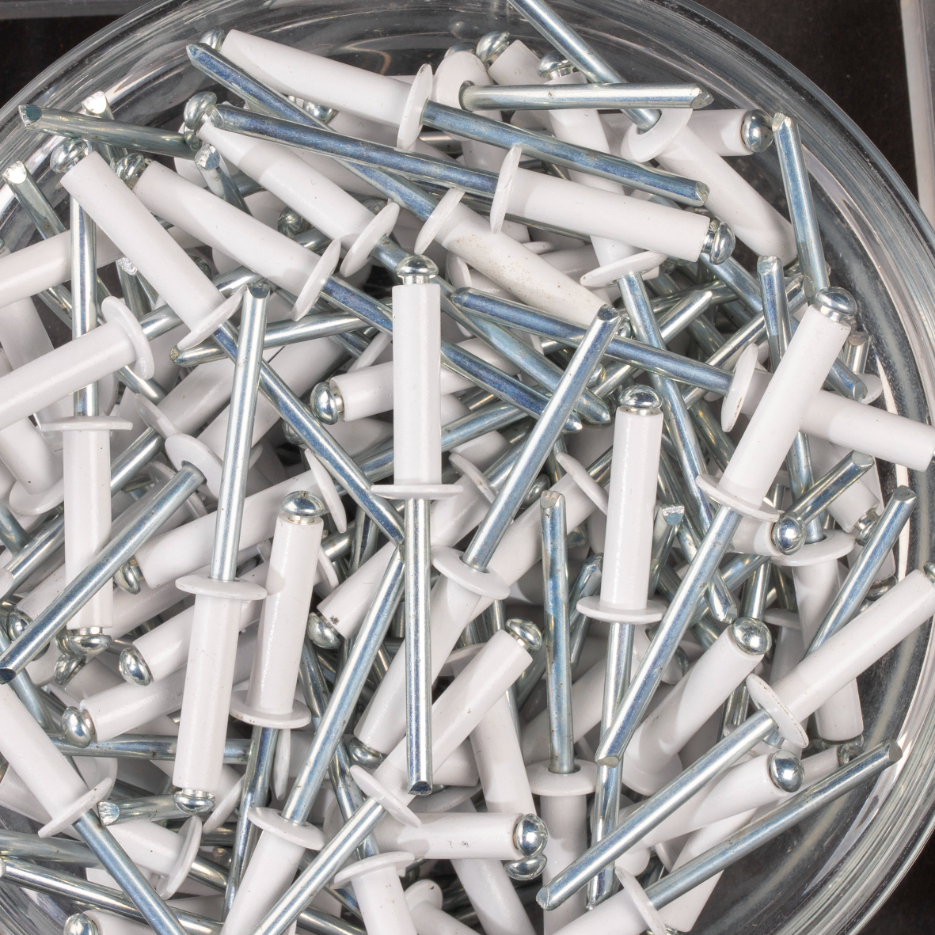 250 rivets standards à aluminium/acier à tête plate à RAL9003 à Ø4,8x20mm - SCELL-IT - AWD4820