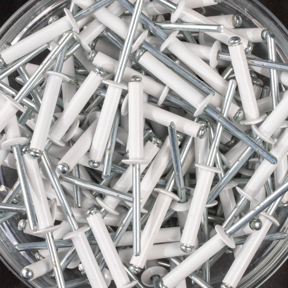 250 rivets standards à aluminium/acier à tête plate à RAL9003 à Ø4,8x25mm - SCELL-IT - AWD4824