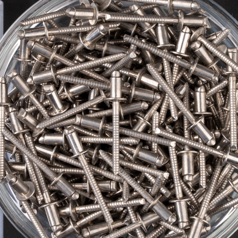 250 rivets standards à inox A2/inox A2 à tête plate à Ø4,8x8mm - SCELL-IT - BTD4808