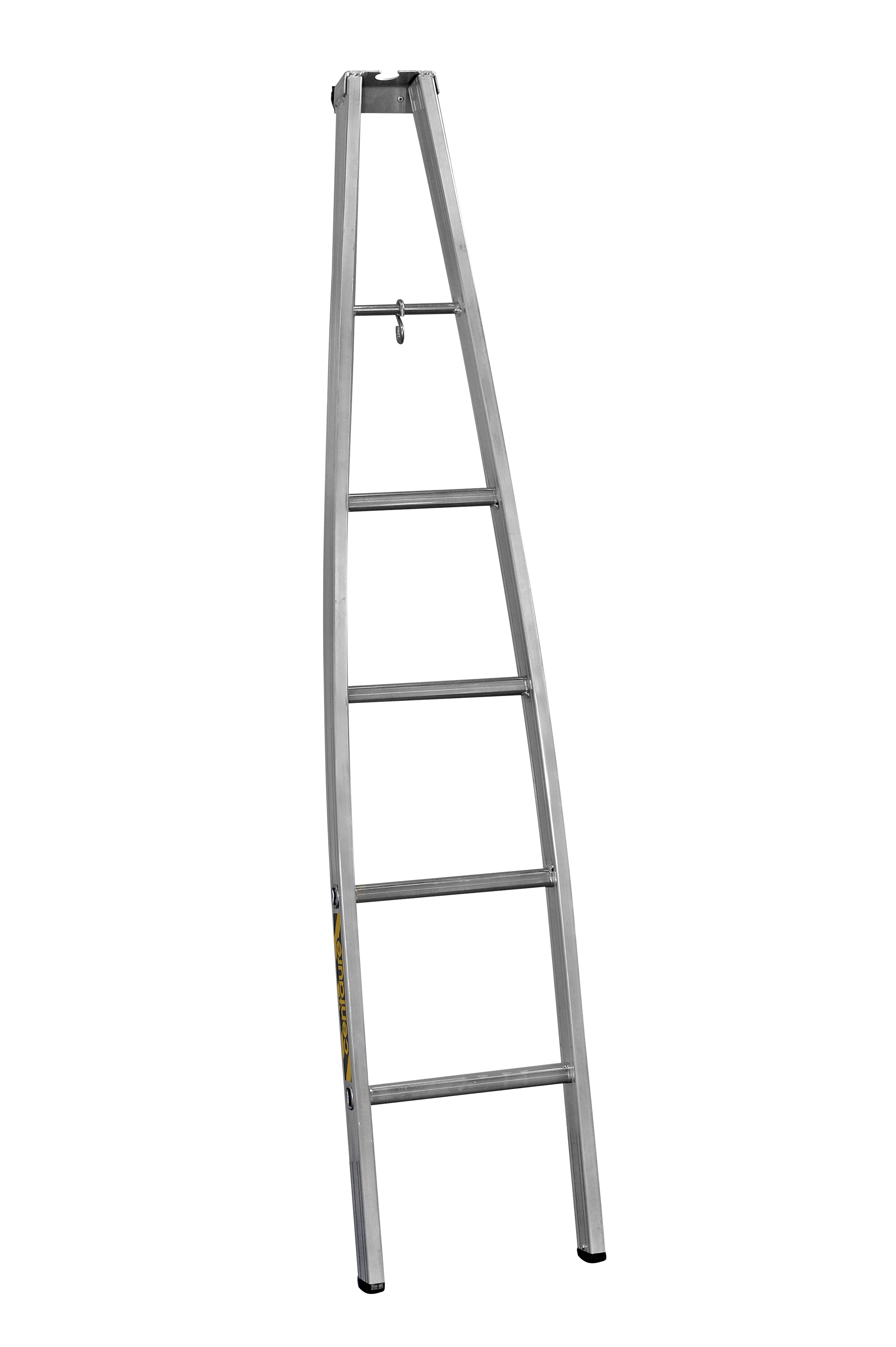 Échelle pointe spéciale vitre en aluminium 2m65 - DUARIB - 615101