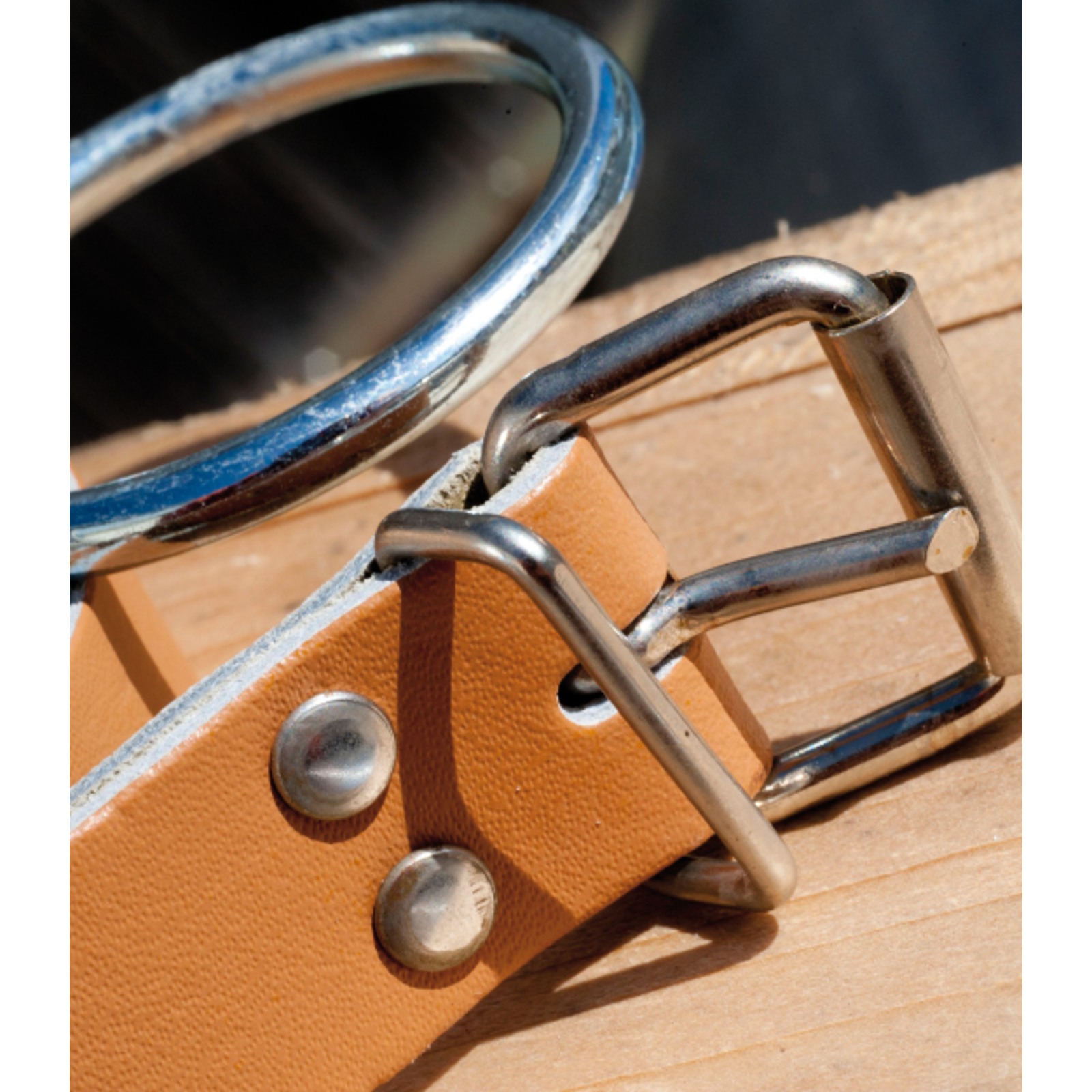 Ceinture en cuir l 25mm DIMOS - 205724