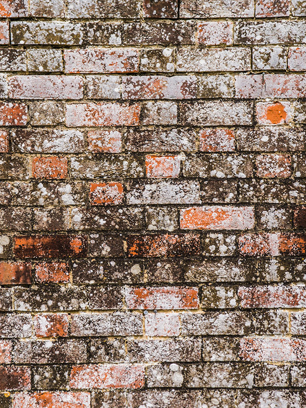 NET EXPRESS Nettoyant Rapide - Fût 200L - DALEP - 1.04.0050.08