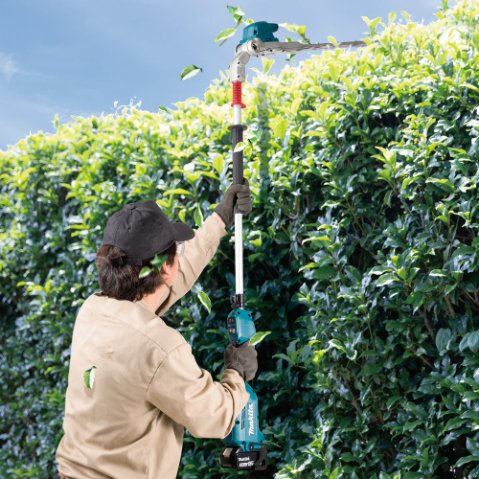 Taille-haie à perche LXT 18V 50 cm - MAKITA - DUN500WZ