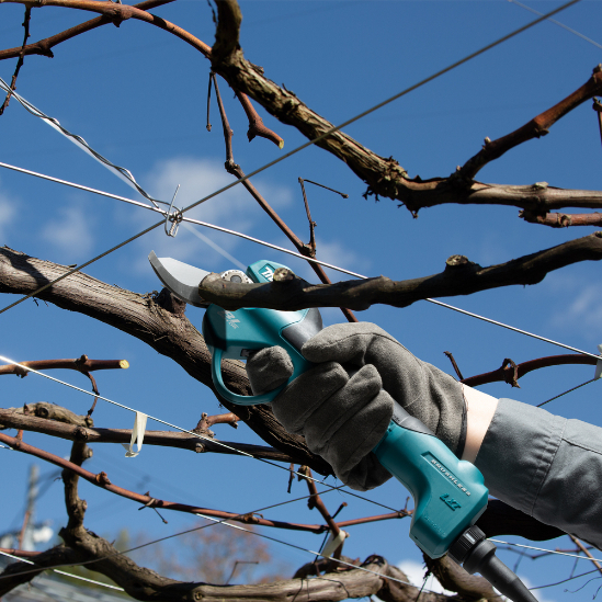 Sécateur MAKITA LXT 18 V Li-Ion sans batterie DUP180Z