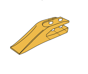 Dent à fourche  - E11.10