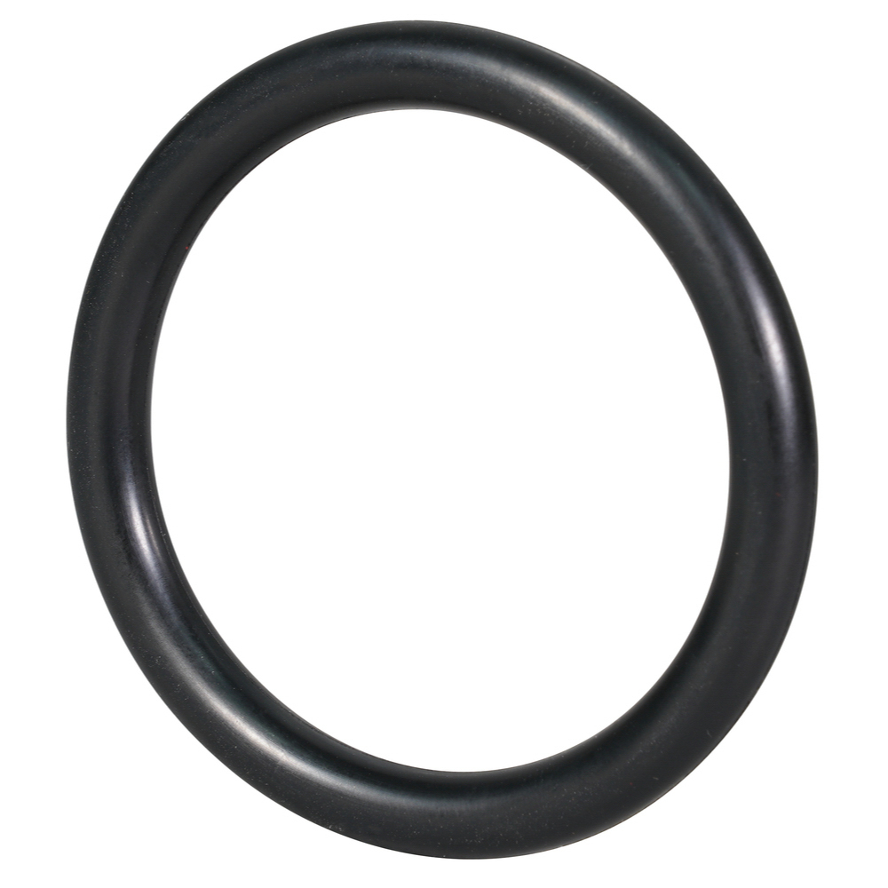 O'RING DOUILLE 1