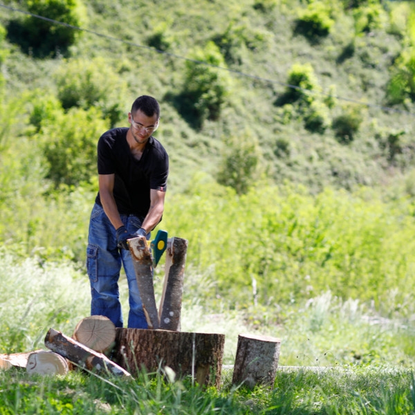 Merlin éclateur LEBORGNE 2,5KG manche Novamax avec pare faux-coups - 231256