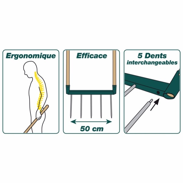 BIOGRIF LEBORGNE 5 DENTS INTERCHANGEABLES  VERSION BOITE CARTON -320301