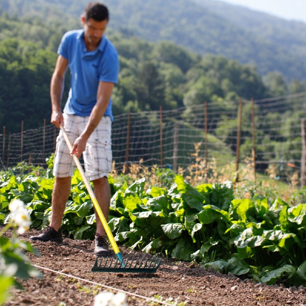 RÂTEAU DENTS COURBES LEBORGNE - 375102