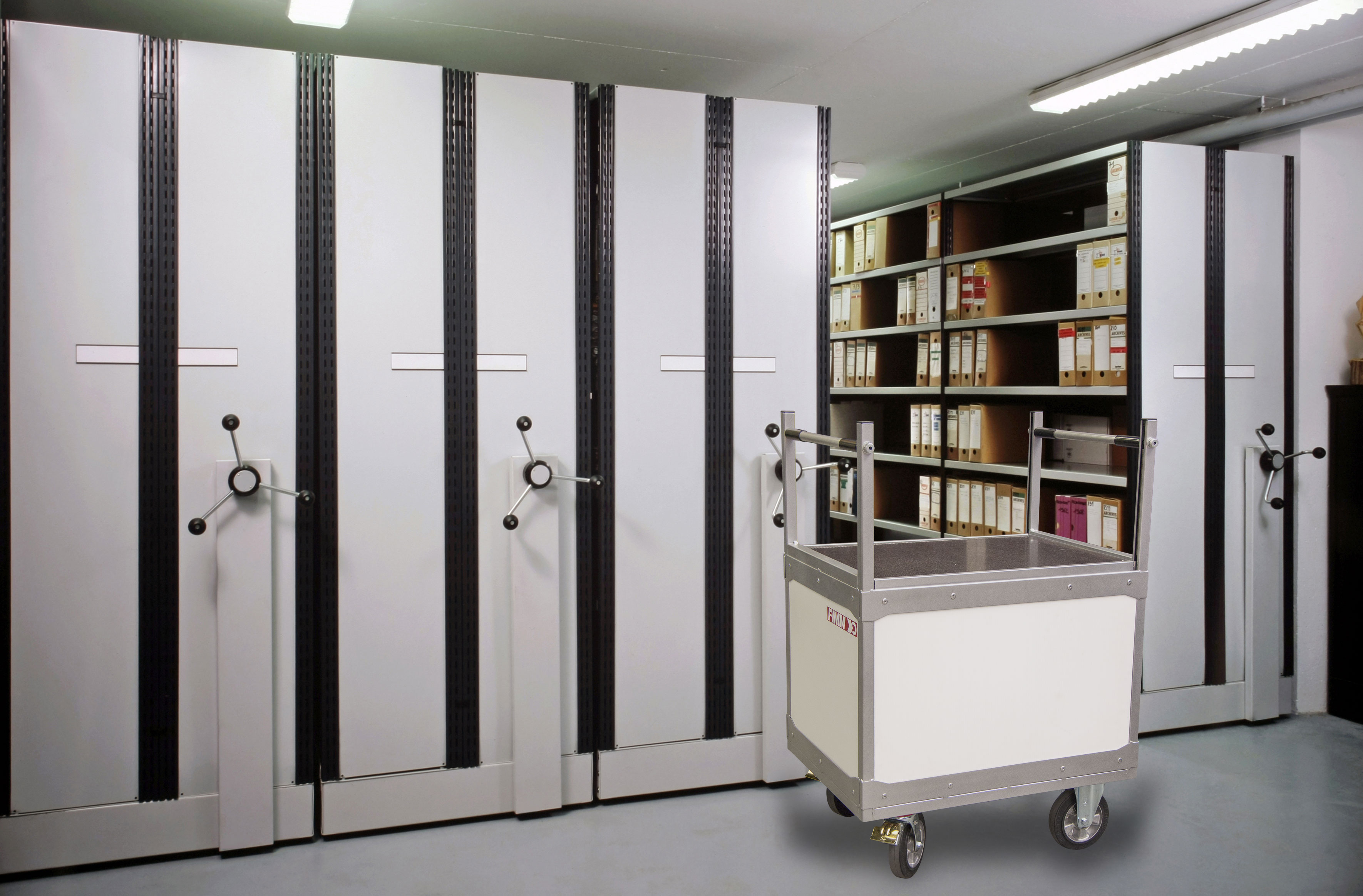 Chariot niveau constant 100 kg 800 x 600 mm FIMM - 800009372