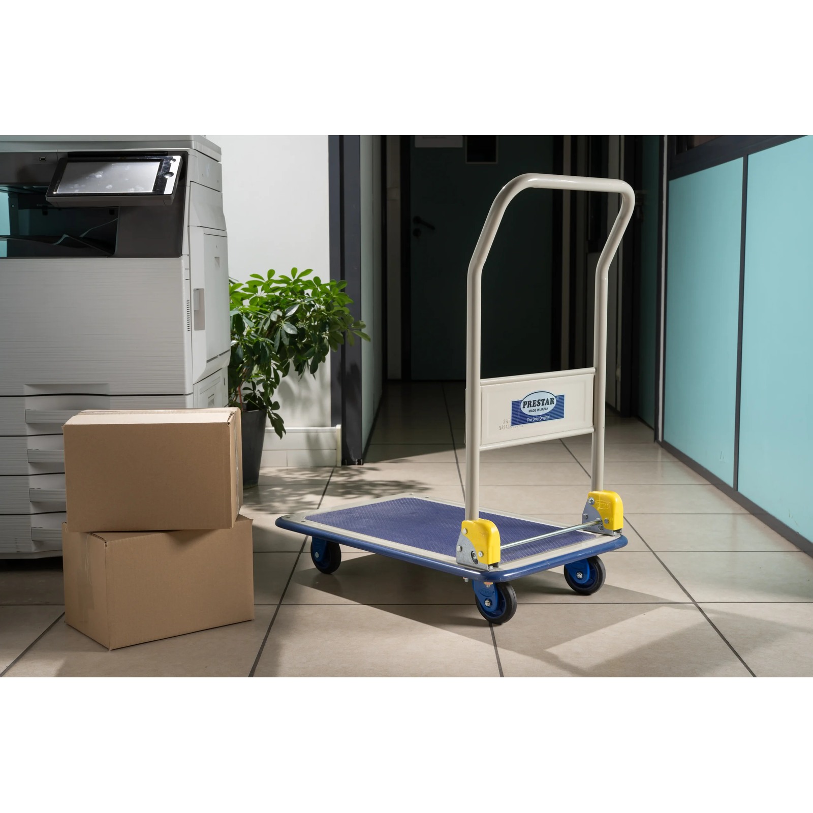 Chariot 200 kg 740 x 480 mm dossier repliable FIMM - 805007164