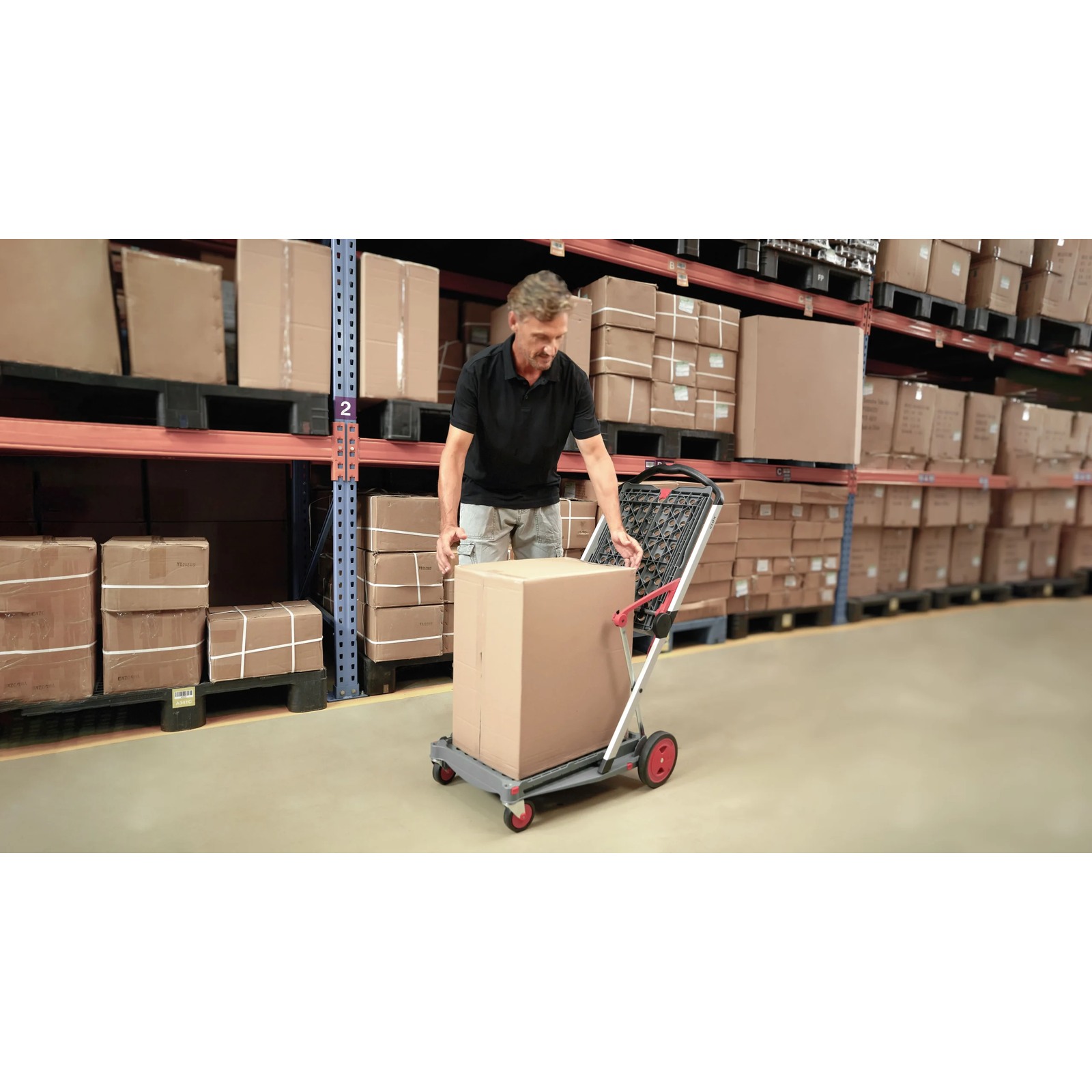 Chariot pliant Clax avec caisse pliable 60 kg FIMM - 805010691