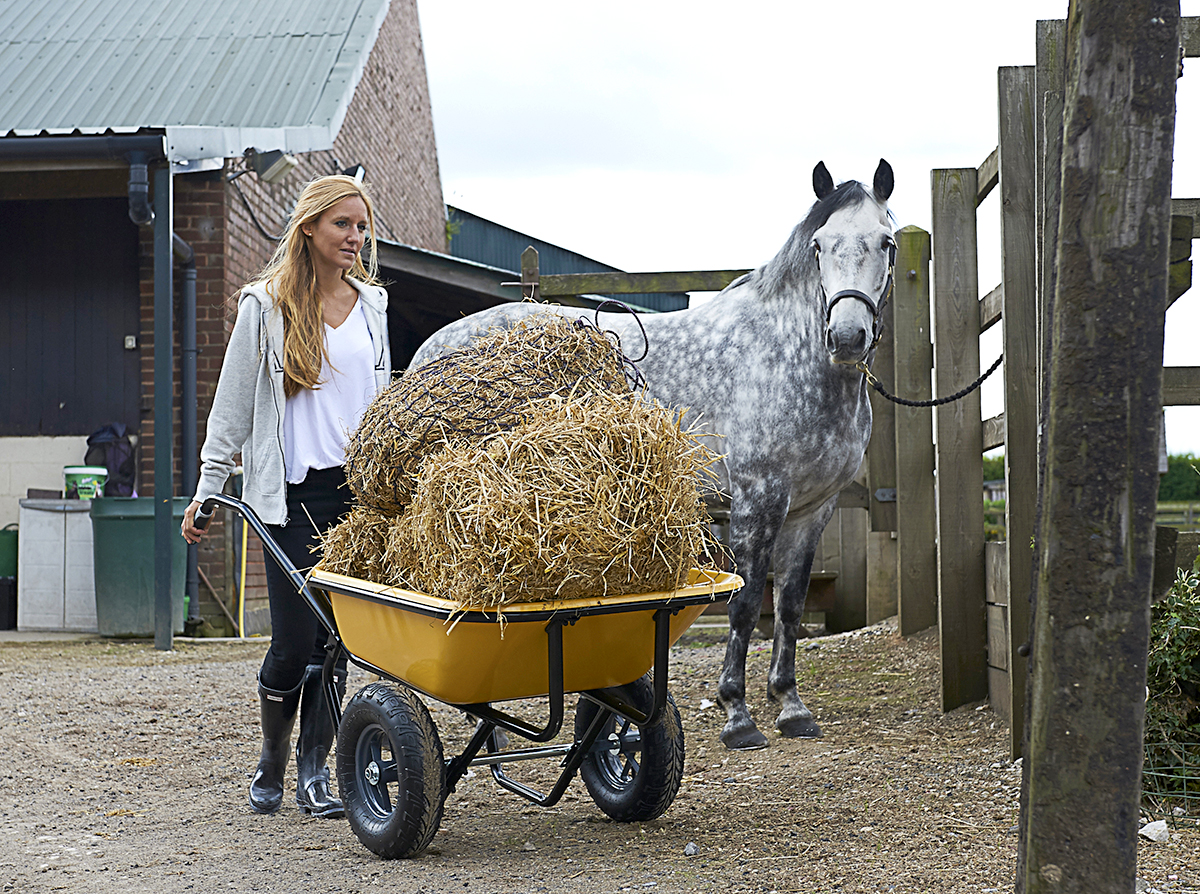 Brouette Haemmerlin Pro Select Expert Twin 160 L Peinte 2 roues gonflées -306020701