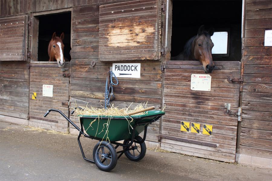 Brouette Haemmerlin Pro Select Expert Twin 230 L Peinte 2 Roues Gonflees-306050701