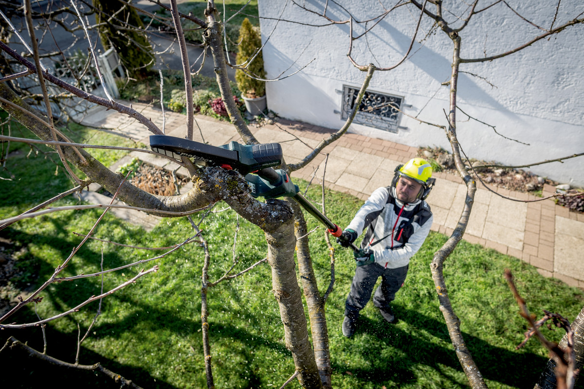 Petite élagueuse 18 V MS 18 LTX 15 - METABO - 600856840