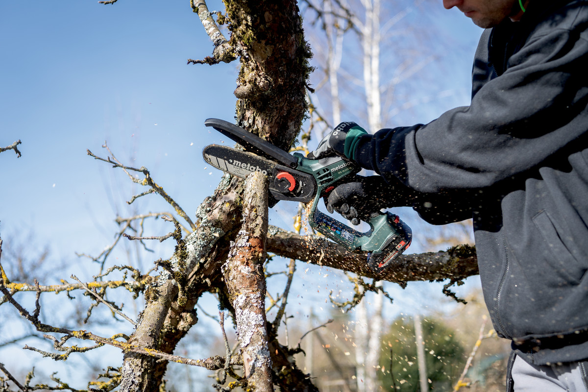 Petite élagueuse 18 V MS 18 LTX 15 - METABO - 600856840