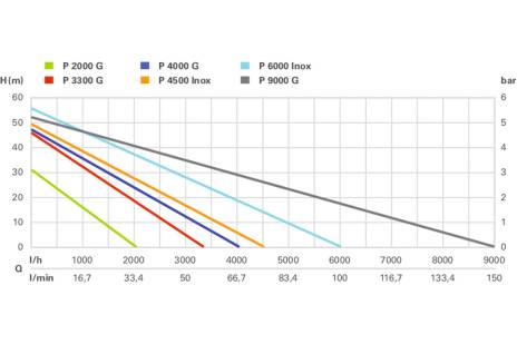 Pompe de jardin P 6000 Inox - METABO - 600966000