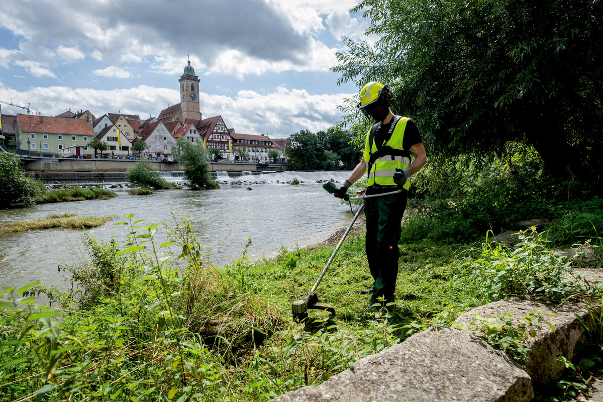 Débroussailleuse 36- 18 V FSB 36-18 LTX BL 40 - Poignée vélo - METABO - 601611850