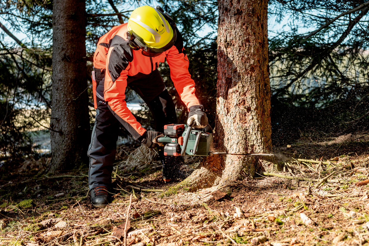 Tronçonneuse 36-18 V MS 36-18 LTX BL 40 - METABO - 601613850