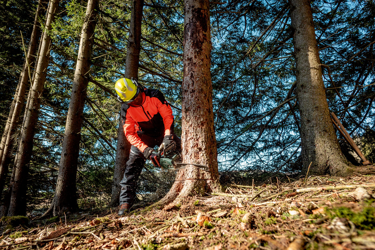 Tronçonneuse 36-18 V MS 36-18 LTX BL 40 - METABO - 601613850