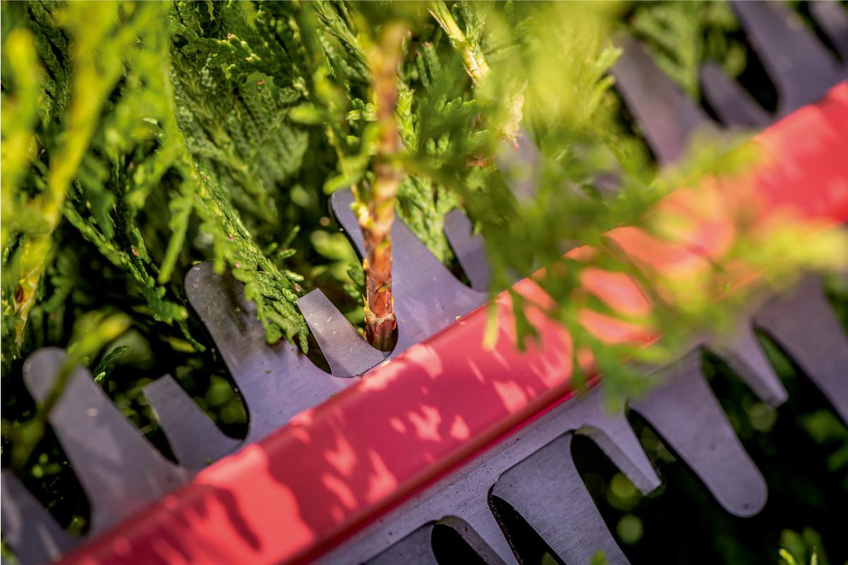 Taille-haies 18 V HS 18 LTX 45 - METABO - 601717850