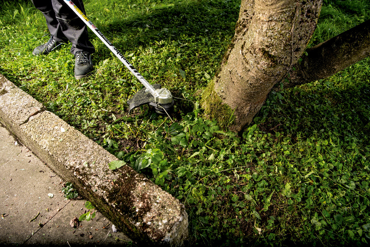 Coupe bordure  18 V RTD 18 LTX BL 30  - poignée en D - METABO - 601720850