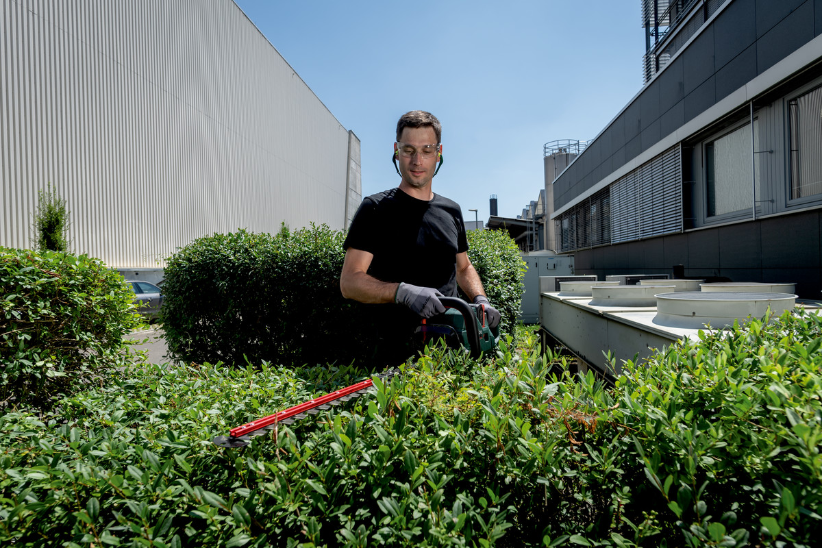 Taille-haies 18 V HS 18 LTX BL 55 - METABO - 601722850