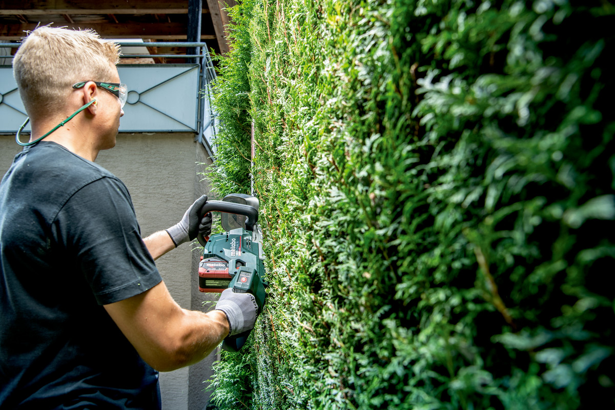 Taille-haies 18 V HS 18 LTX BL 55 - METABO - 601722850