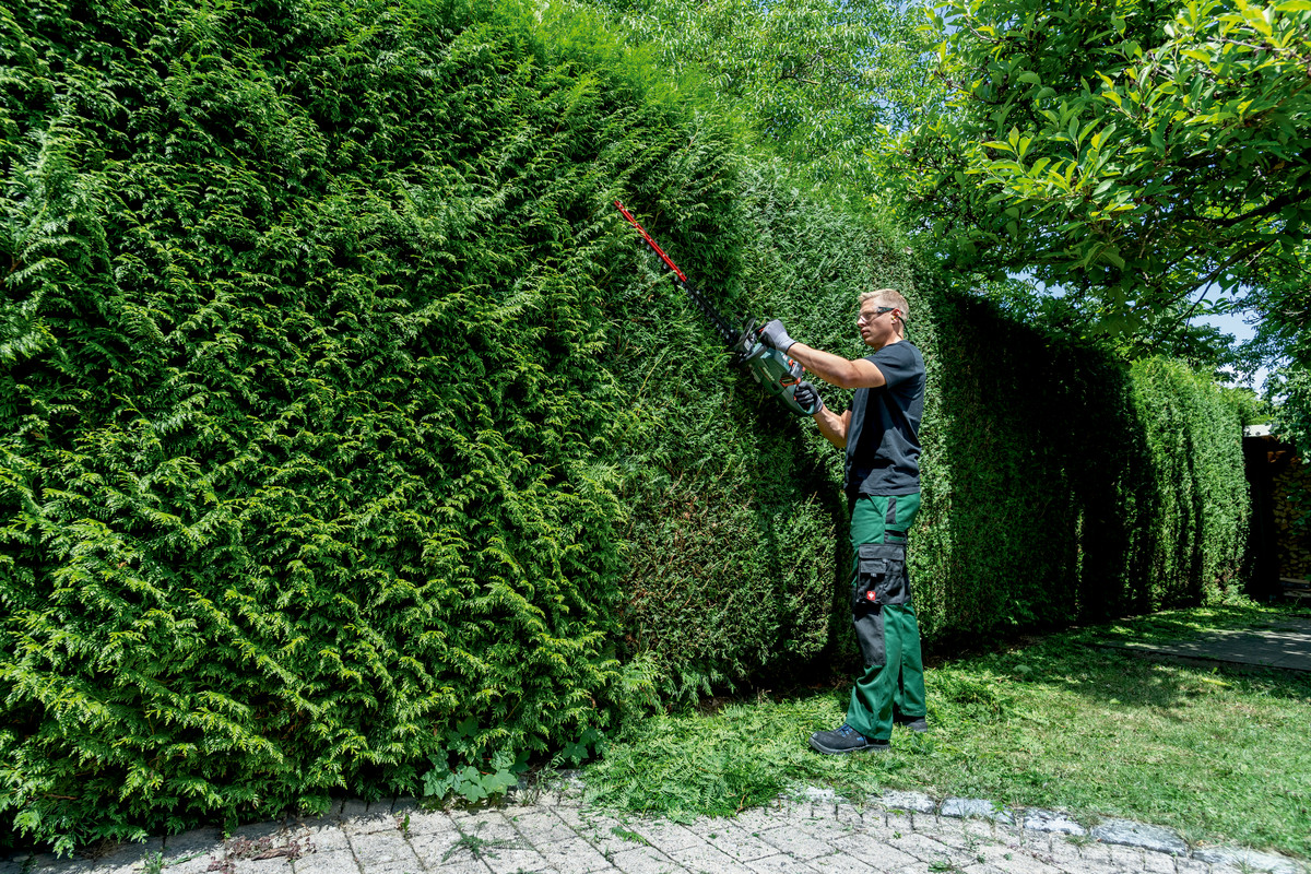 Taille-haies 18 V HS 18 LTX BL 55 - METABO - 601722850