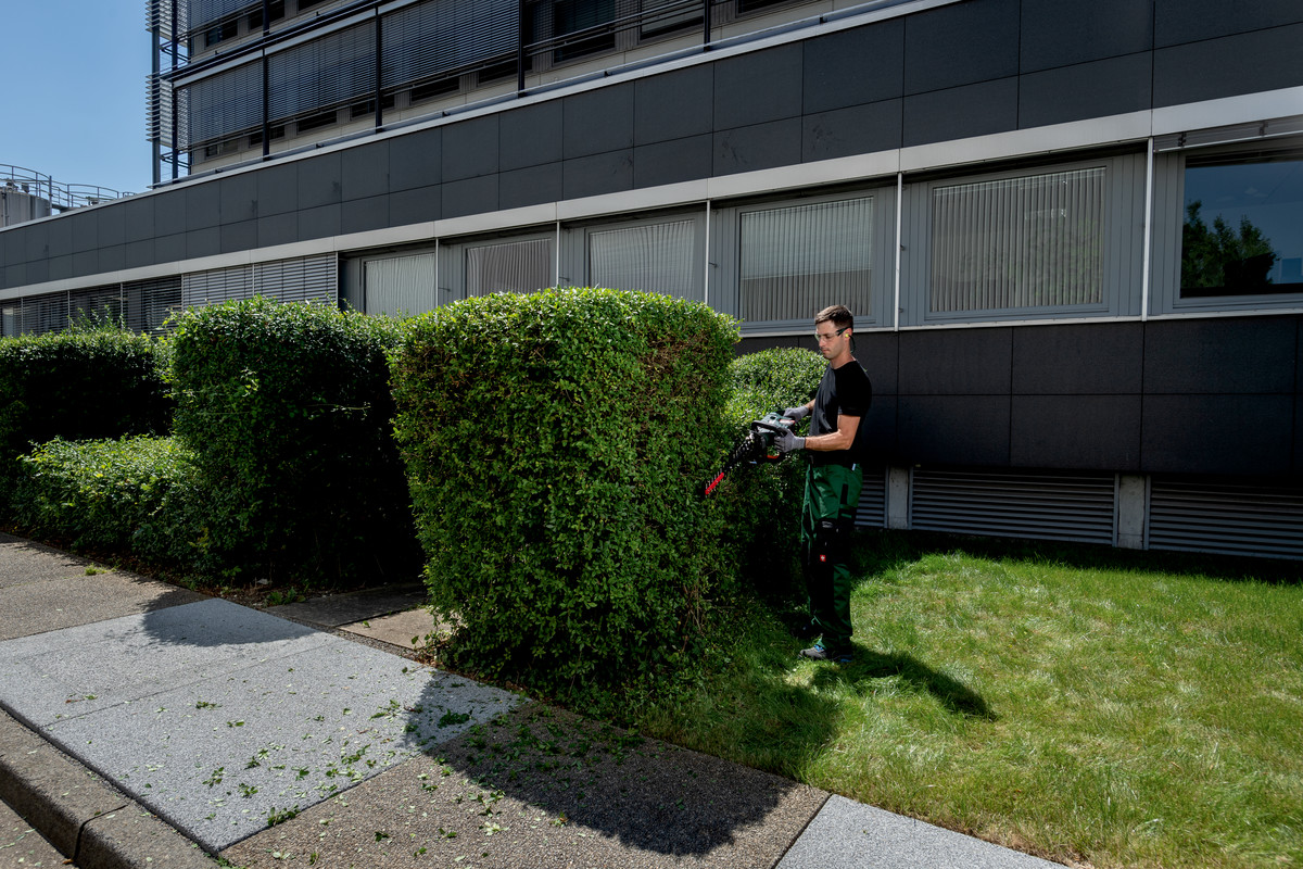 Taille-haies 18 V HS 18 LTX BL 75 - METABO - 601724850