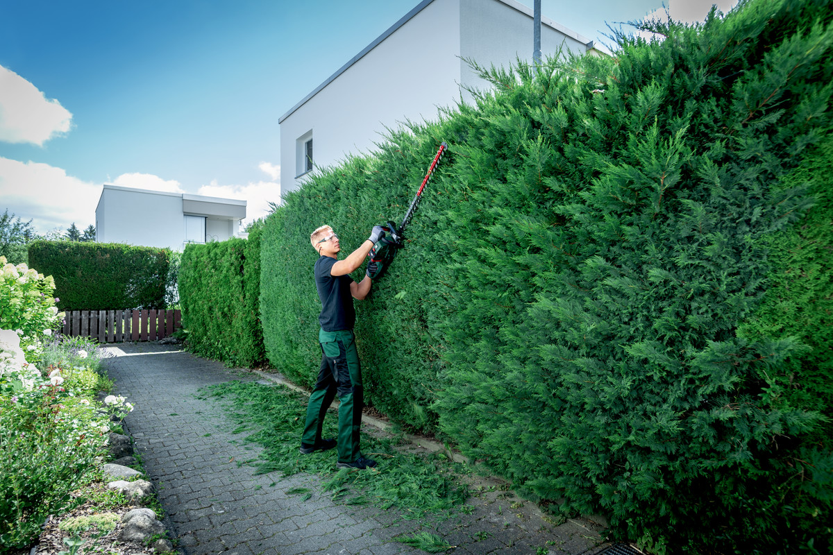 Taille-haies 18 V HS 18 LTX BL 55 - METABO - 601722850