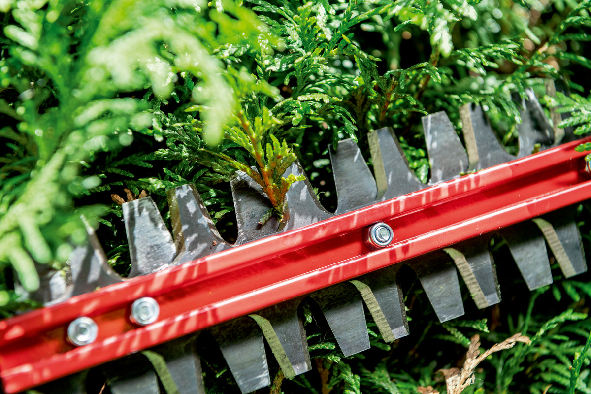 Taille-haies 18 V HS 18 LTX BL 65 - METABO - 601723850